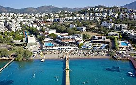 Cactus Fleur Beach Отзывы